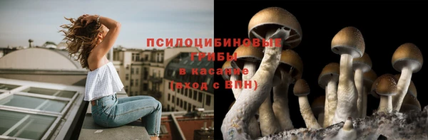ECSTASY Балабаново