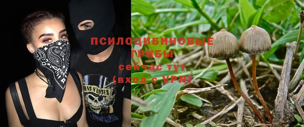 прущая мука Балахна